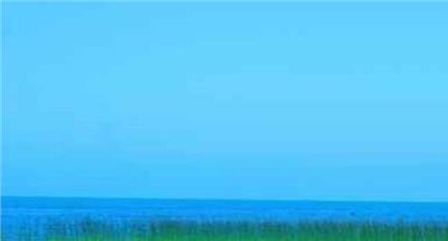 【博斯腾湖水怪下集】新疆博斯腾湖“水中大熊猫”回归母亲湖