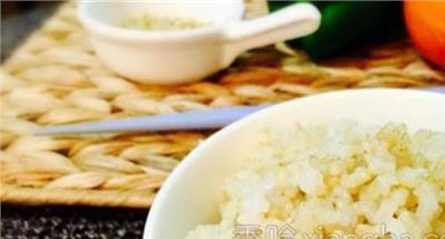 【10天糙米饭减肥】米饭和糙米饭热量 减肥必须知道