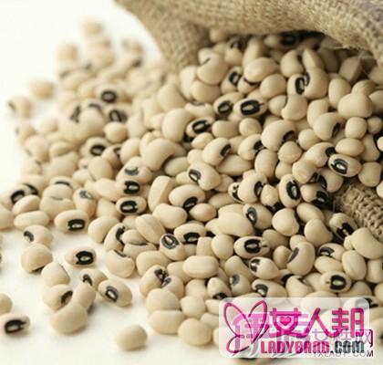 高营养价值白豆的功效与作用  食疗保健补气健脾全靠它