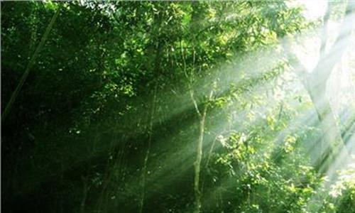 热带雨林温泉 呀诺达热带雨林:中国唯一地处北纬18°的热带雨林
