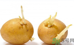 土豆发芽了还能吃吗？发芽的土豆吃了会怎么样？