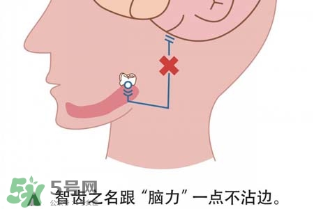 >智齿会引起耳鸣吗？耳鸣跟智齿有关系吗？