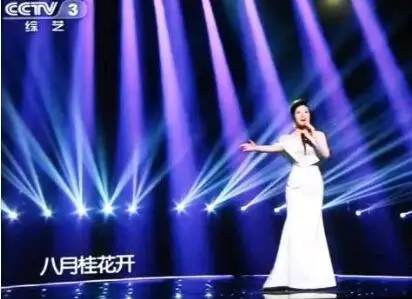 陈小艺唱歌 茶陵籍女歌手陈小艺再次登上央视大舞台 演唱《哥哥不来花不开》