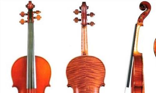 六弦低音提琴中提琴 杨依诺(杨璟):五弦中提琴是“一辈子”的事业
