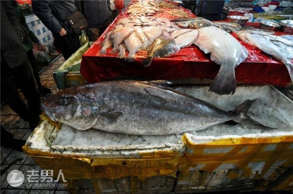 >渔民捕获156斤怪鱼 石斑营养价值有哪些