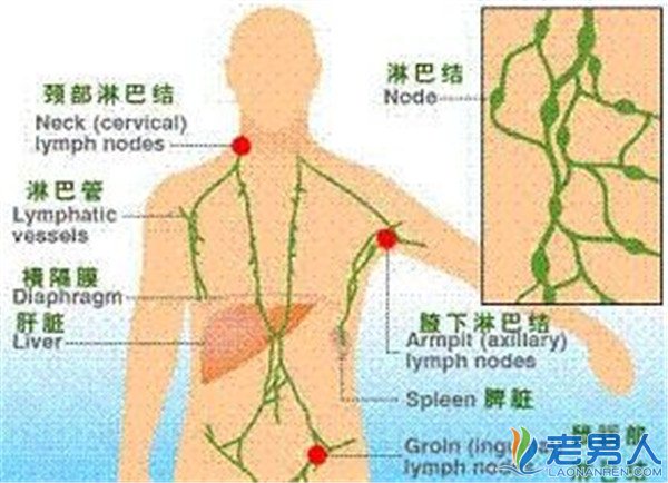 淋巴结是什么原因引起的 对身体有害吗