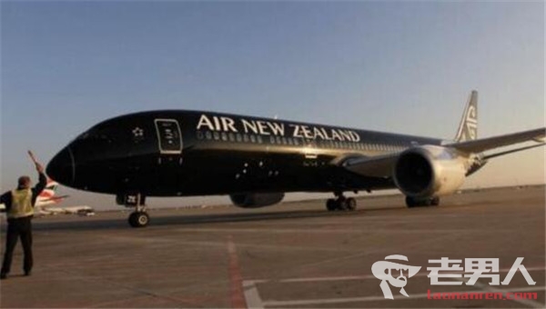 新西兰航班中途返航事件最新进展：飞机未在中国注册