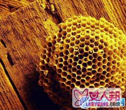 >【露蜂房的功效与作用】中药露蜂房的功效与作用_露蜂房的用法用量和禁忌注意