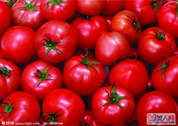 >春季露天西红柿的种植技术