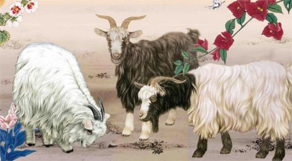 杨希雨出生年月 属羊的年份 属羊出生年份查询
