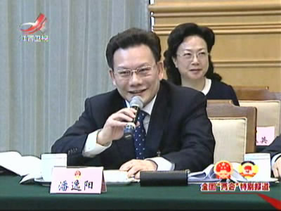 潘逸阳审判 潘逸阳在参加审议“两高”工作报告时发言