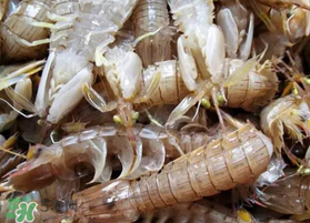 活的皮皮虾怎么保存？活的皮皮虾怎么保鲜？