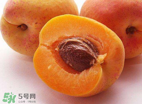 杏和樱桃能一起吃吗?杏能和樱桃一起吃吗？
