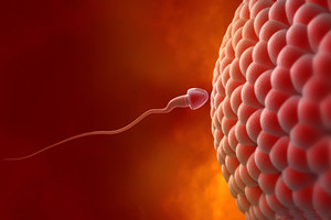 【排卵期】排卵期有什么症状_排卵期怎么算_排卵期一般有几天