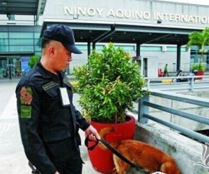 在菲律宾的中国游客已陆续撤回