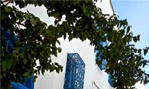 突尼斯蓝白小镇 在突尼斯的“蓝白小镇”享受悠闲的慢时光