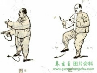 85式太极拳教育杨大为 杨式太极拳图解(85式完整版)