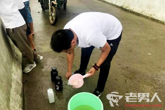 安徽鱼蟹死亡分析 受暴雨影响上游污水汇入洪泽湖所致