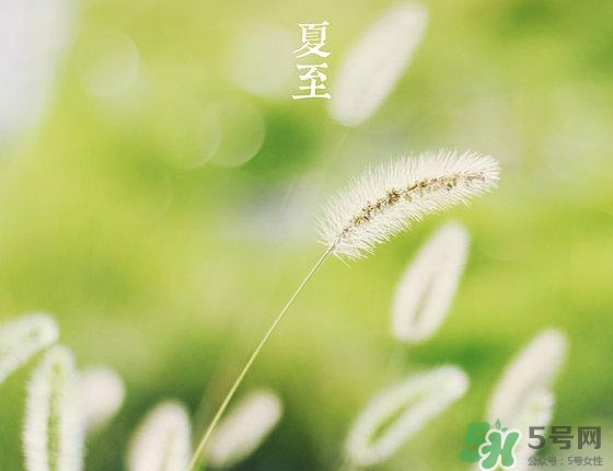 夏至是夏天的开始吗？夏至是几月几日2017？