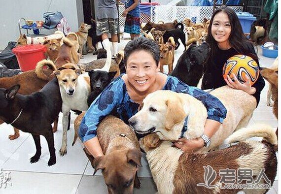香港退休空姐卖豪宅养流浪狗
