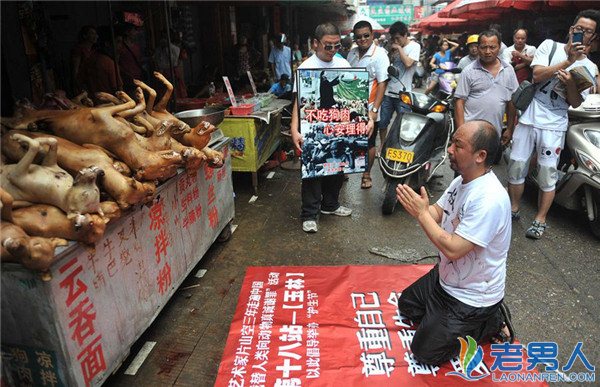 玉林狗肉节再起风波 是传承饮食文化还是一种杀戮