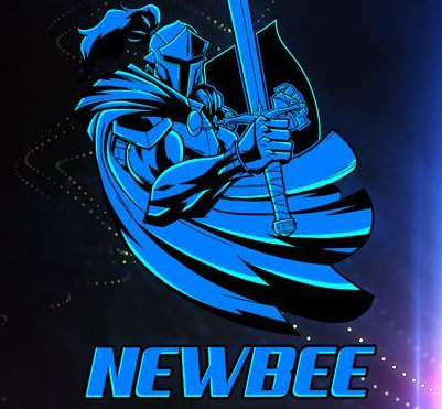 NEWBEE战队老板是谁 NEWBEE战队现任队员介绍