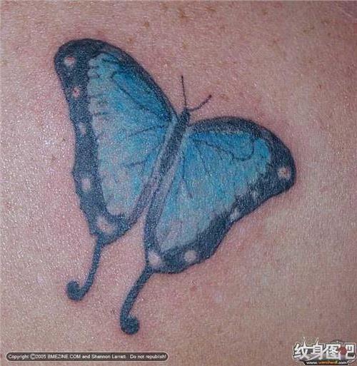 >背部蓝色蝴蝶纹身图案