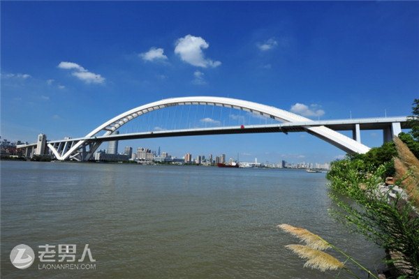 上海卢浦大桥不要钱的旅游景点全程免费