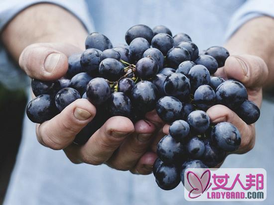 吃葡萄有哪些禁忌  吃葡萄后喝牛奶易致腹泻