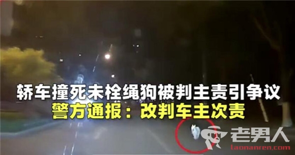 轿车撞死未栓绳狗改为次责 网友的评论亮了