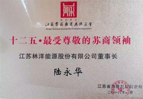 林洋陆永华哪里人 林洋董事长陆永华提名“2015中国十大经济年度人物”候选人