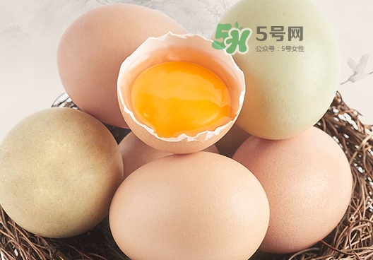 >毒鸡蛋对人有什么危害_怎么分辨有毒鸡蛋