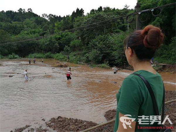 洪水突袭鱼塘 十万多斤鱼被冲走损失100多万