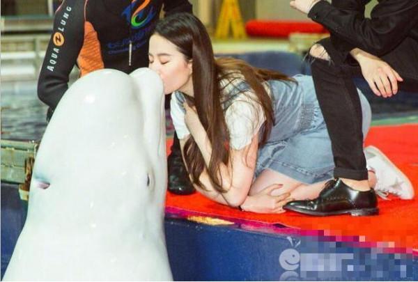 刘亦菲路演亲吻白鲸 “白夜夫妇”合体与白鲸亲密接触