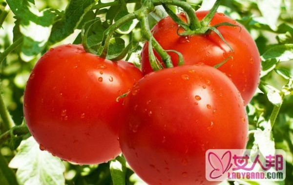 >西红柿的营养价值 吃西红柿的好处