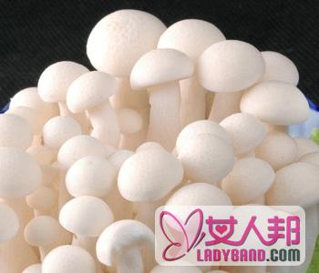 >【白玉菇的做法】白玉菇的功效_白玉菇的营养价值