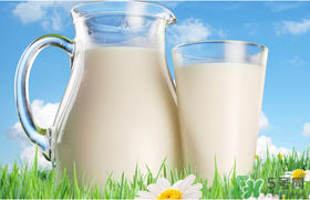 喝鲜羊奶的好处和坏处 鲜羊奶的功效与作用