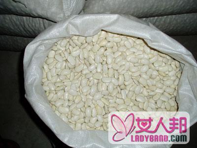 >白芸豆营养价值