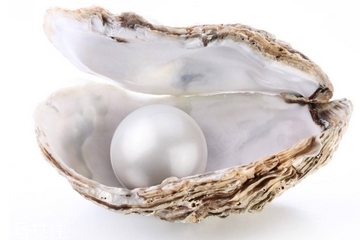珍珠粉为什么有石灰味 原来是因为这个