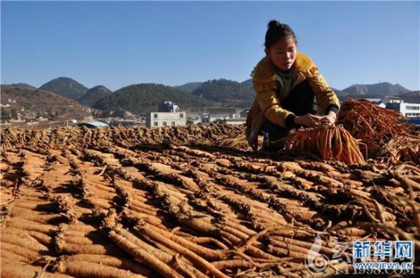 >万源特色农业陈国斌 万源市发展特色农业促进农民增收