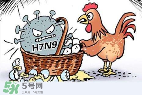 >怎样预防禽流感？如何预防禽流感