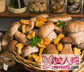 【东北元蘑】东北元蘑的做法_东北元蘑的营养价值