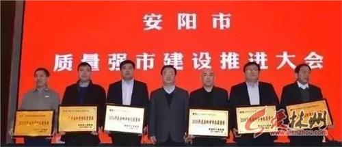 安阳市长王新伟坐船 林州:合鑫铸业荣获2016年安阳市“市长质量奖”