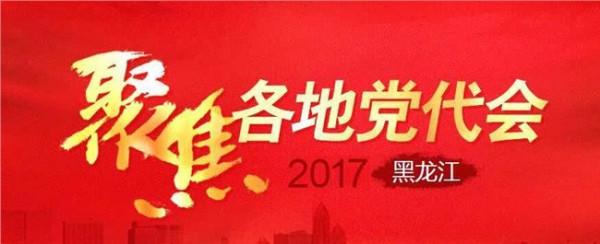 >张丽娜黑龙江 张丽娜代表:奋力推动黑龙江省文化事业大繁荣大发展