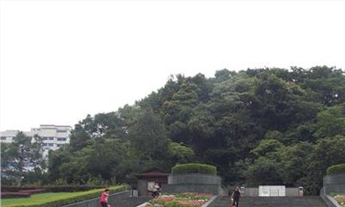 >青岛中山公园动物园 青岛中山公园开出双色睡莲 系冠军睡莲