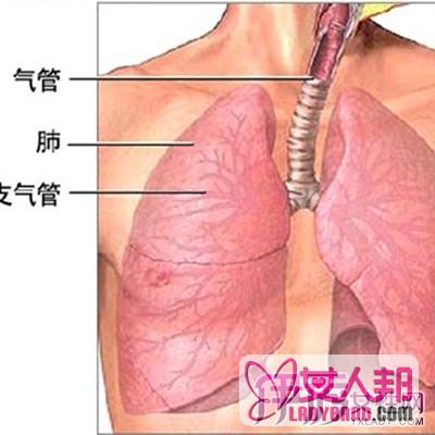 >支气管炎能吃鸡蛋吗？ 以下5点支气管炎患者需注意