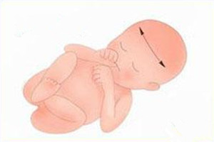 【胎儿双顶径】胎儿双顶径标准_足月胎儿双顶径标准
