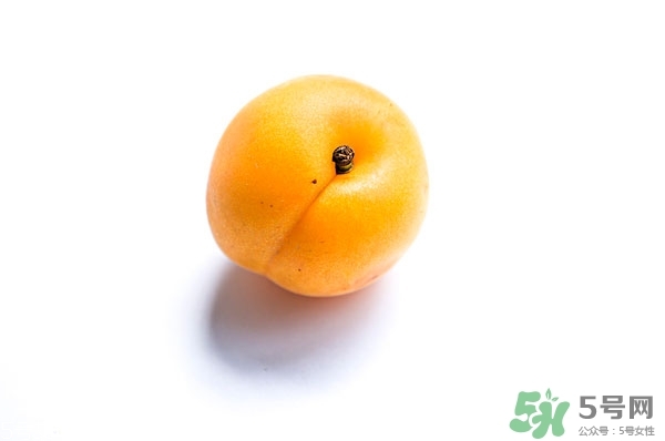 黄杏是什么?黄杏的营养价值和功效