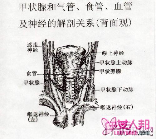 >甲状腺功能低下症状怎么办？ 日常预防与治疗方法