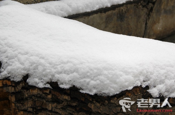 中国启动积雪调查年花费600万 积雪调查到底是什么